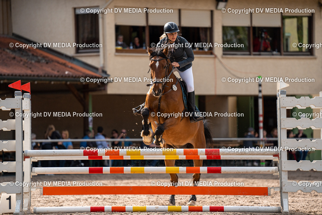 Eppelheim Tag 2-581 | dv-media-shop - Realisiert mit Pictrs.com