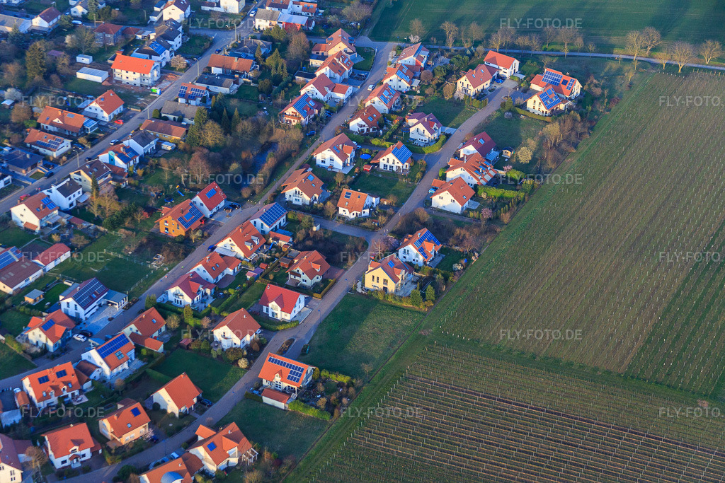 Luftbild: Im Erbsenfeld im Ortsteil Mörzheim in Landau im Bundesland Rheinland-Pfalz in Deutschland. Foto: IMG_086838.jpg vom 26.03.2016 durch Werner Riehm/FLY-FOTO.de