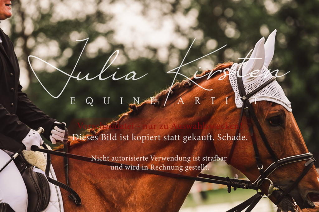 DSC_5077 | Pferde- und Turnierfotografie in Westsachsen. Pferdeportraits, Auftragszeichnungen und intuitive Kunst.