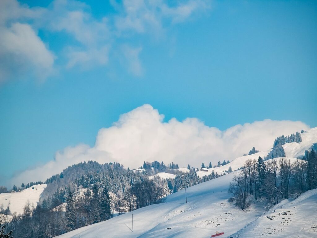 PSX_20221211_232212 | mtkfoto_ - Realisiert mit Pictrs.com