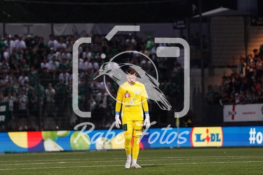 SON02164 | rabefotos