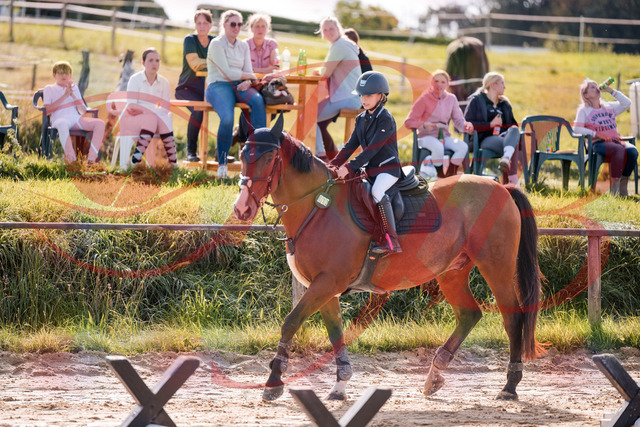 2026_10_03_Siefer-Hof_143833_Z81_09092986 | Professionelle Reitsport-, Turnier- und Eventfotografie von Robert Broda. Galerien mit ausgewählten und bearbeiteten Bildern direkt online ansehen und bestellen.