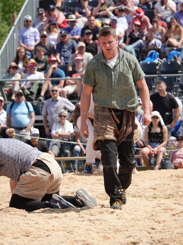 DSC06814 | Schwingen - Realisiert mit Pictrs.com