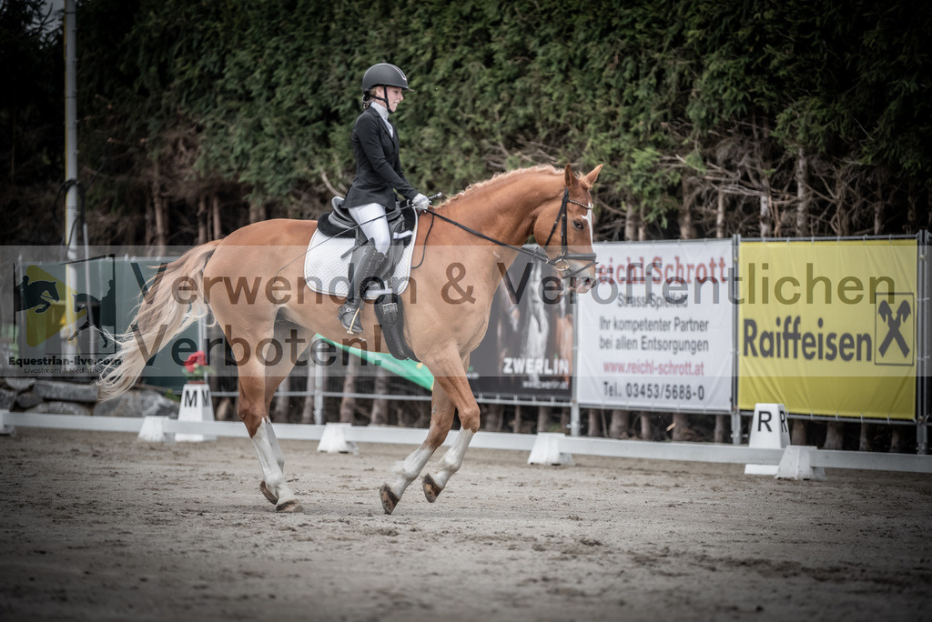 DSC_2656 | equestrian-live-com