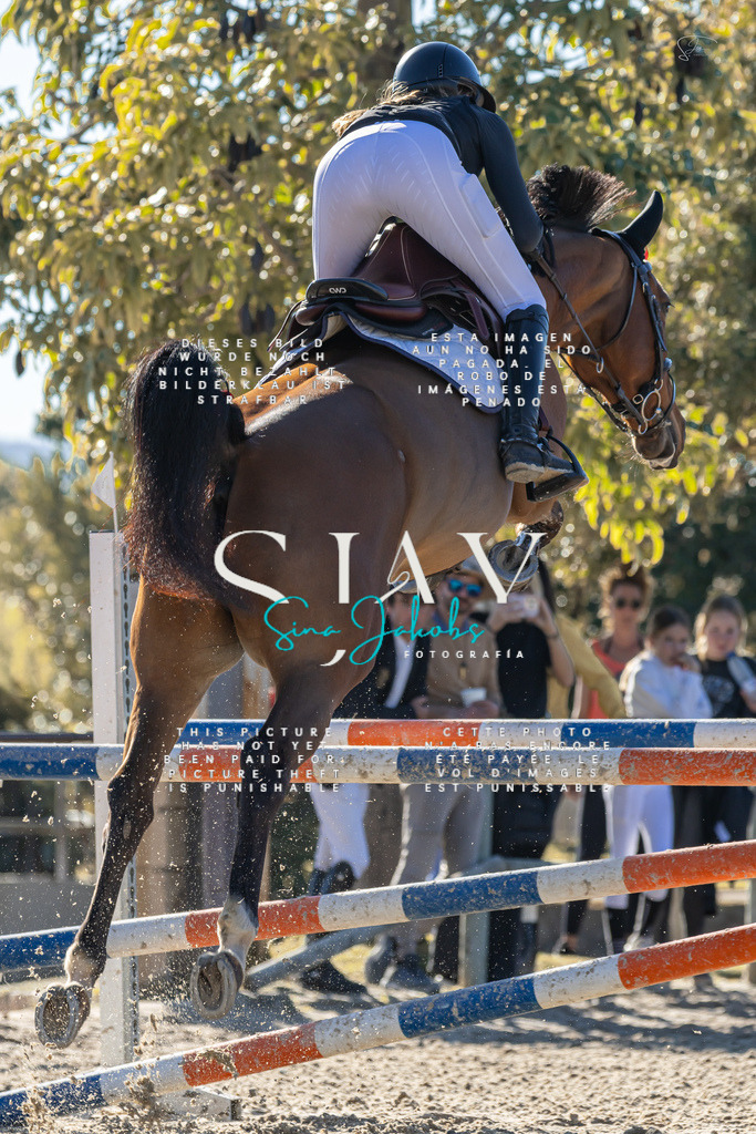 IMG_1792 | s-jay-photography - Realisiert mit Pictrs.com