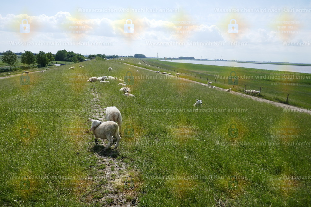 P1090439 | Fotoseite Wolkenblende - Das Hobby fotografieren begleitet mich schon  viele  Jahre. Auf den nächsten Seiten zeige ich ein paar Schnappschüsse der letzten Jahre und es kommen immer neue hinzu. Schau einfach mal rein. - Realisiert mit Pictrs.com