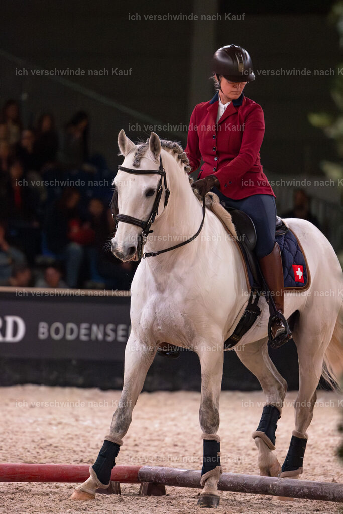 JoseraCup-97 | working equitationturnier fotograf videograf stoibphotography marixx film working equitation deutschland reitsport turnierfotografie eventfotografie equestrian events