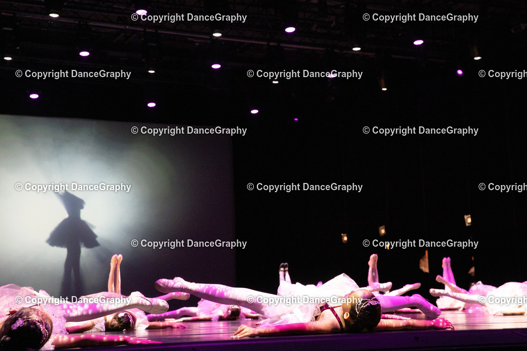 GPHY4438 | DanceGraphy - Realisiert mit Pictrs.com