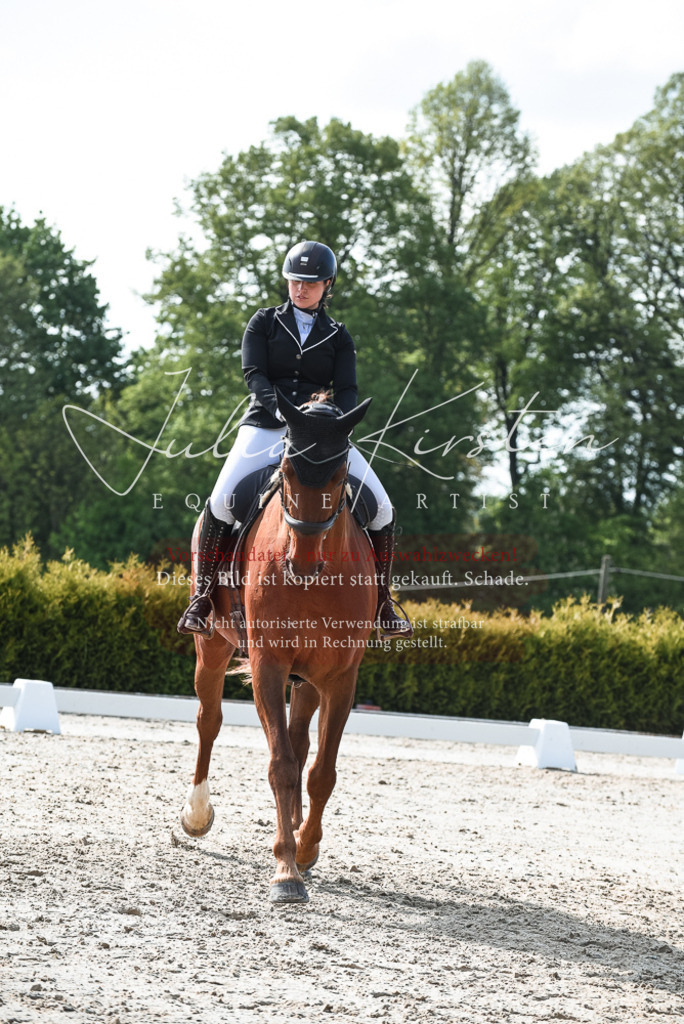 20230518_JK-Röhrsdorf-09-1306 | Pferde- und Turnierfotografie in Westsachsen. Pferdeportraits, Auftragszeichnungen und intuitive Kunst.
