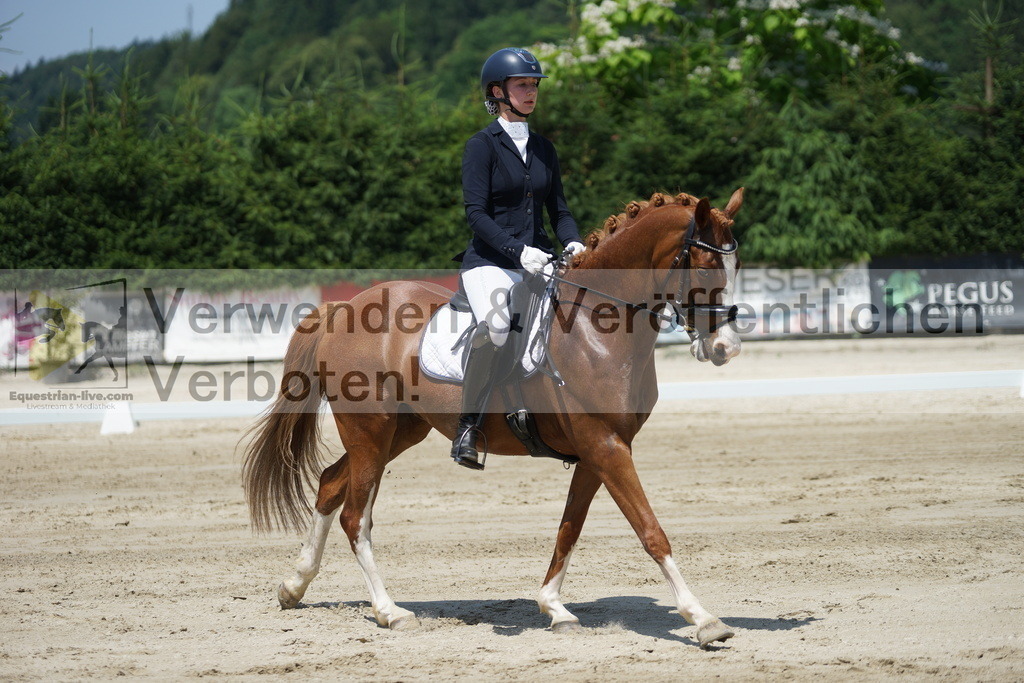 DSC04920 | equestrian-live-com