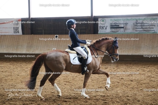JugendTrophy0861 | Fotografie, Tiere, Hunde, Katzen, Pferde, Sportfotografie, Fotosession, Tierfotografie, Turnierfotografie, Fotografin, Fotograf - Realisiert mit Pictrs.com