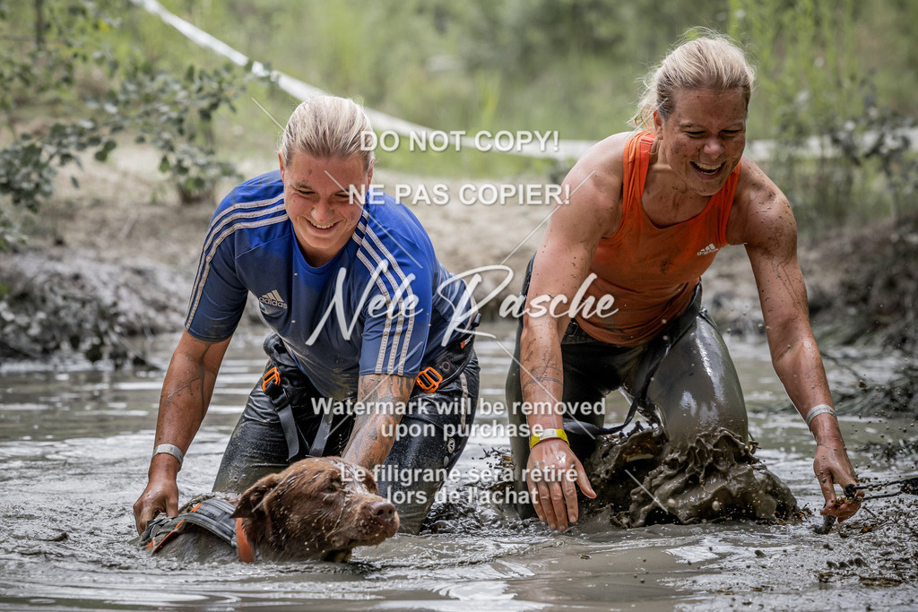 nelerasche_so1330-1400_20 | nelerasche