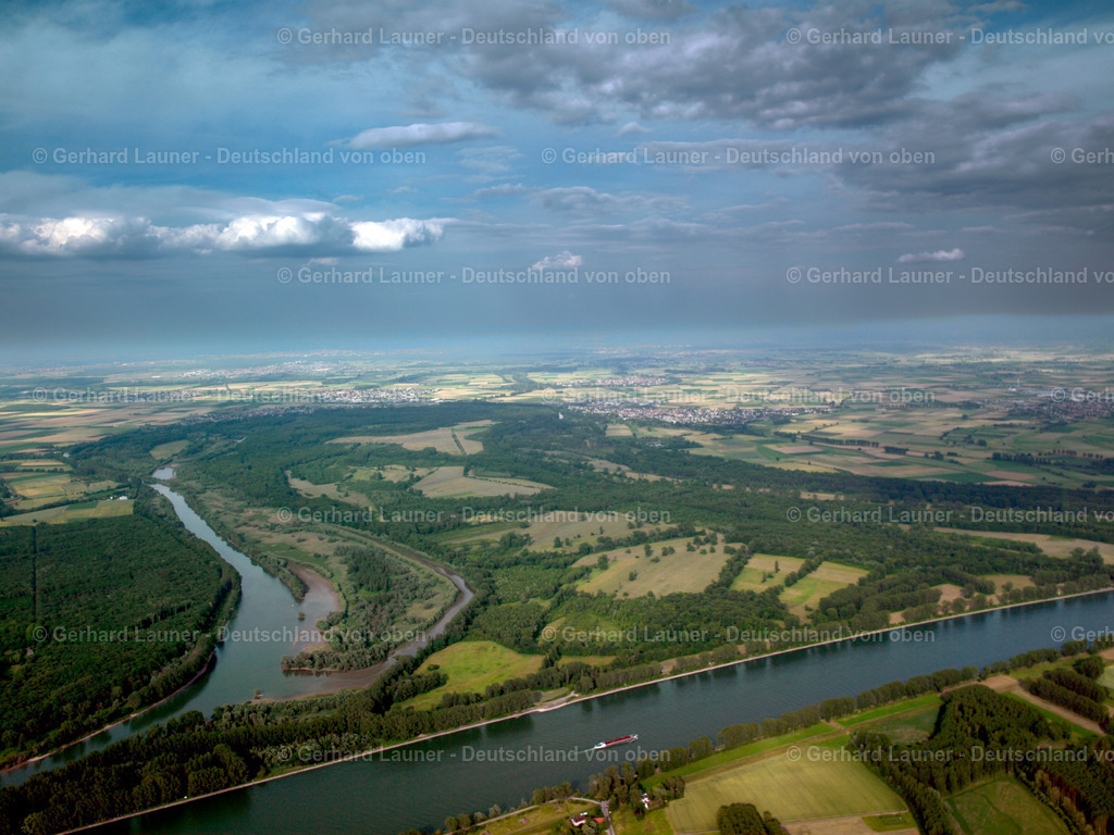 24S03214 | Naturpark Kühkopf- Knoblauchsaue