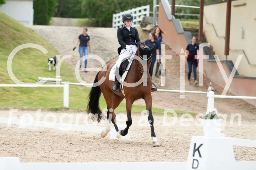 IMG_2446 | Creatify Fotografie