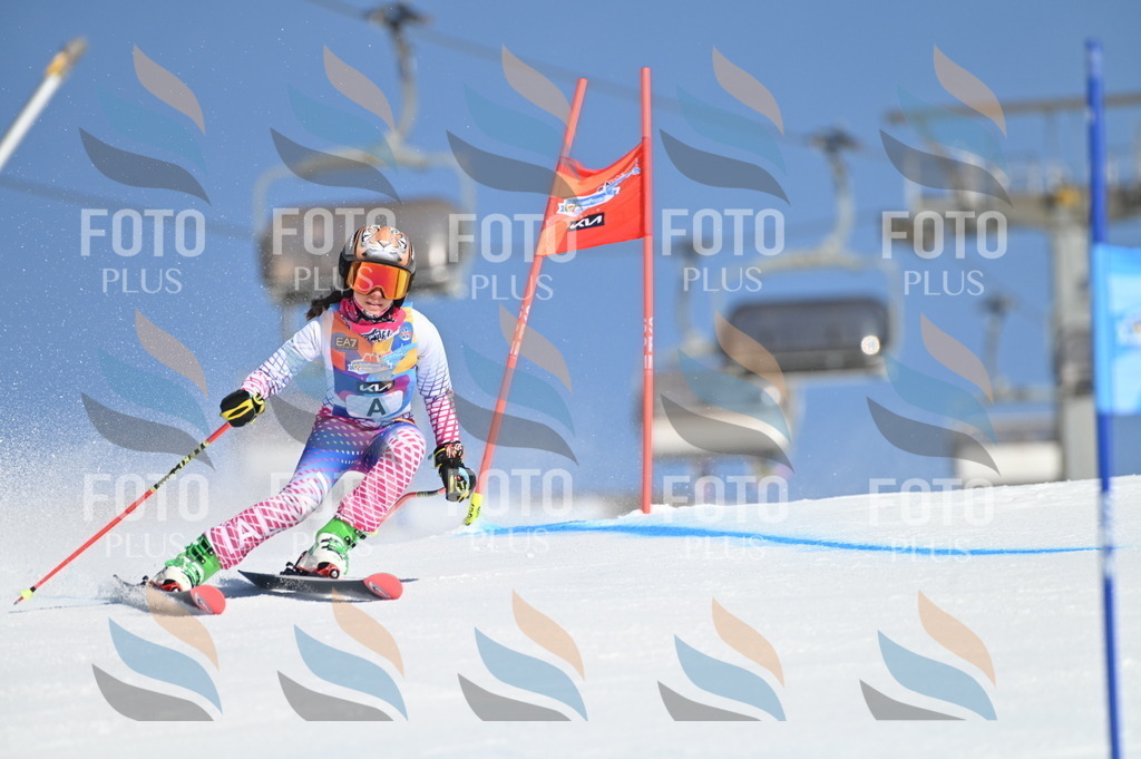 BGV_7544 | holidayphoto