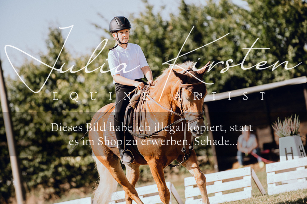 DSC_6954 | Pferde- und Turnierfotografie in Westsachsen. Pferdeportraits, Auftragszeichnungen und intuitive Kunst.