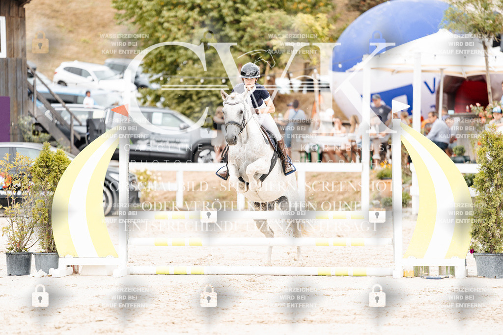 CK908045 | Turnierfotografie Pferdefotografie Trier Rheinland-Pfalz Pferdesport Reitsport Tierfotografie Sportfotografie Pferdevideo Pferdevideografie Equestrianvideography equestrianphotography  - Realisiert mit Pictrs.com