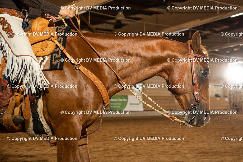 NID01614 | dv-media-shop - Realisiert mit Pictrs.com