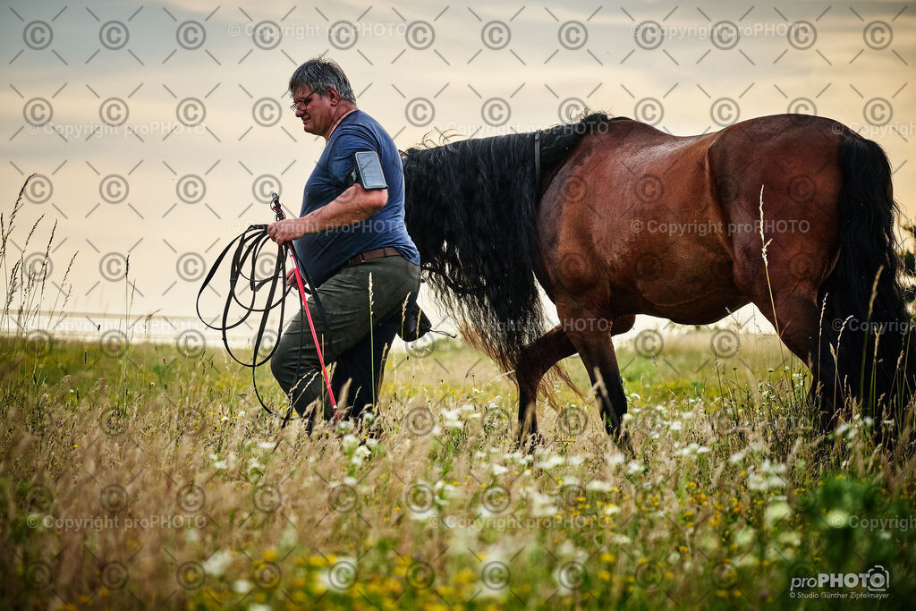 102_202406_Niki-Herodes_NZ9_9856 | proPHOTO - Realisiert mit Pictrs.com