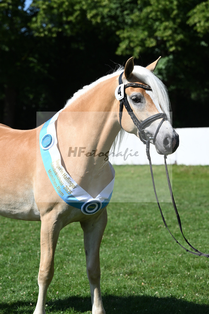 Kat-Nr. 4 Lorena v. Sterlington_Weber_18251552 | hf-fotografie - Realizzato con Pictrs.com