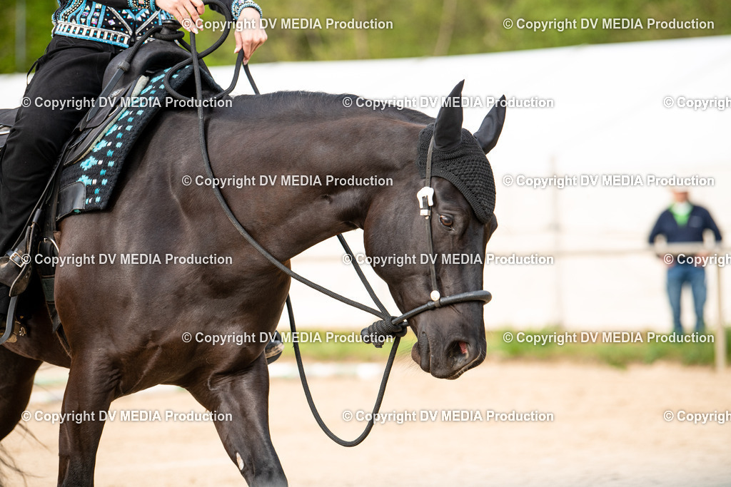 Heiligenwald Tag 3-276 | dv-media-shop - Realisiert mit Pictrs.com