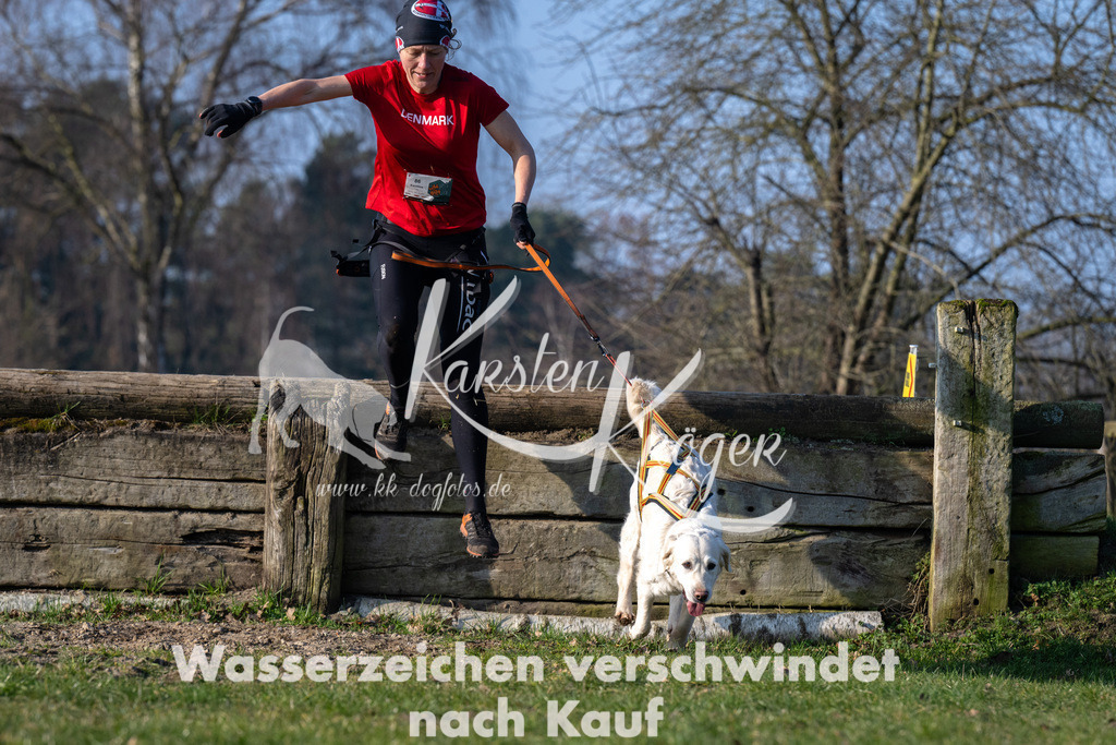 _ZZ93379 | kk-dogfotos