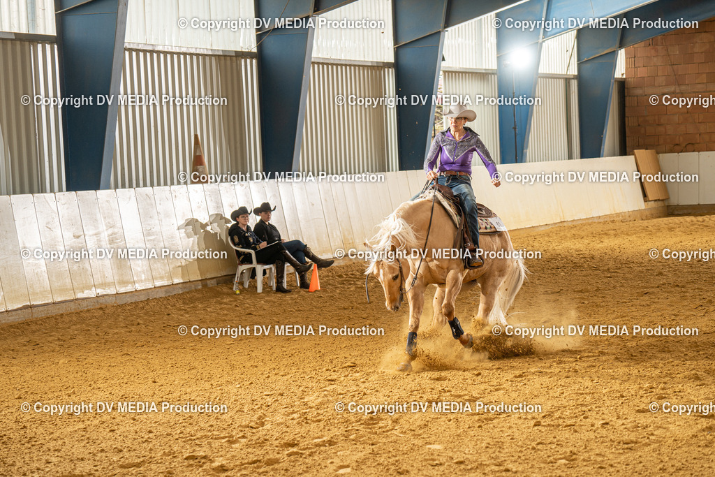 MIT01360 | dv-media-shop - Realisiert mit Pictrs.com