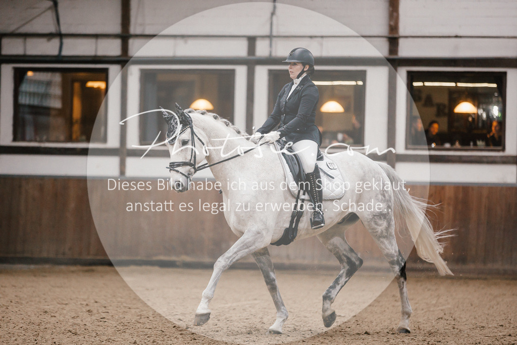 3I6A6117 | Stimmungsvolle Portraits und Reitsportfotografie im Ruhrgebiet und im Münsterland.

Pferdefotografie, Hundefotografie, Tierfotografie, Reportagen, Portraits von Tier und Mensch, Turnierfotografie in Bochum, Recklinghausen, Marl, Haltern am See, Dülmen.. - Realisiert mit Pictrs.com