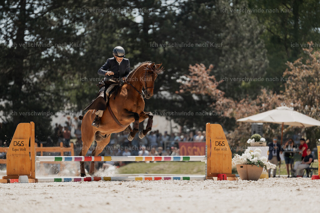 WE_SP_Stoib_313_PI2025_1779 | Pferd International München 2025