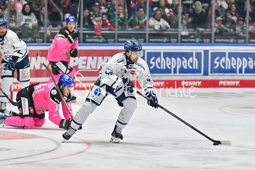 Augsburger Panther - Straubing Tigers | am Puck Philip SAMUELSSON (Straubing Tigers #43) / Zweikampf / Duell / DEL: Augsburger Panther - Straubing Tigers, Curt Frenzel Stadiom am 20.10.2024