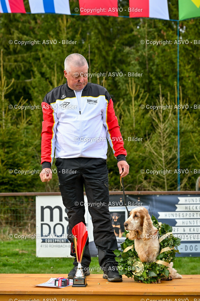 ASVÖ_ Tracking Dog World Championship 2025_ 05.04.2025-202 | bilder.asvo-sport - Realisiert mit Pictrs.com