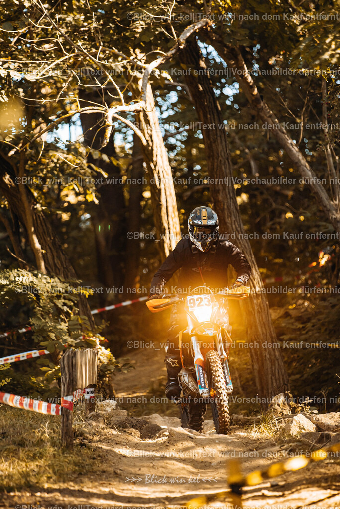 E68A5517 | blick_win_kel