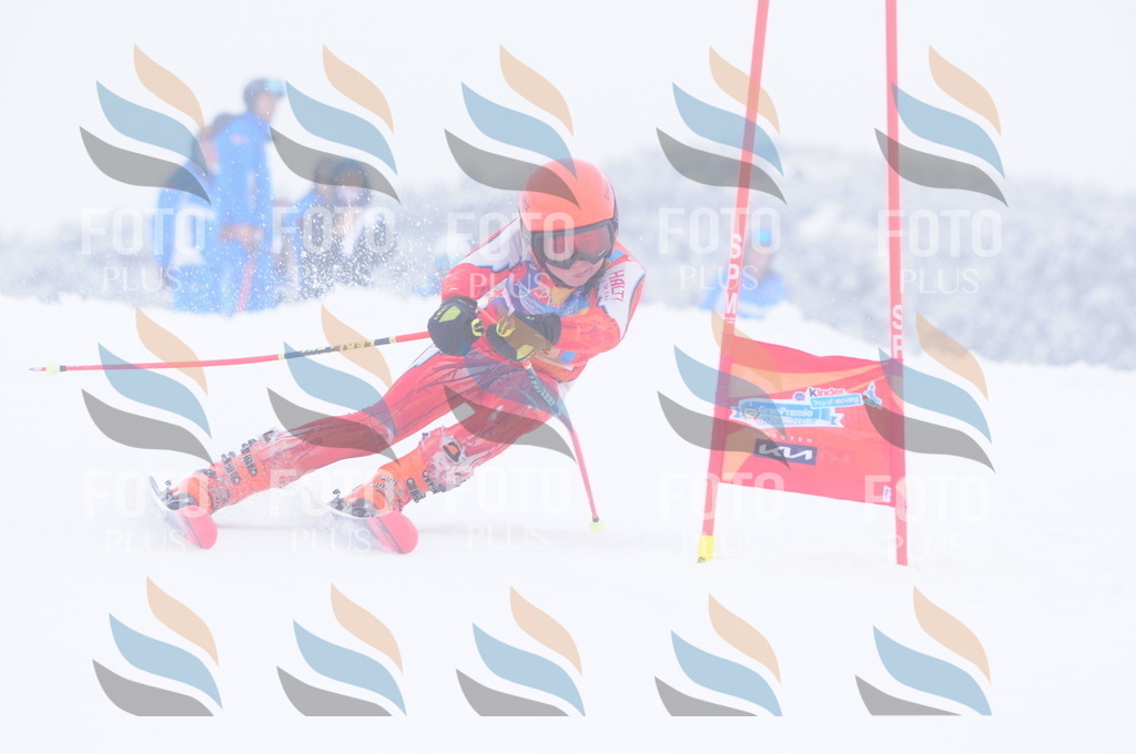 C4387 | holidayphoto