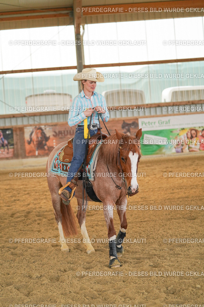 DSC08712 | Pferdegrafie