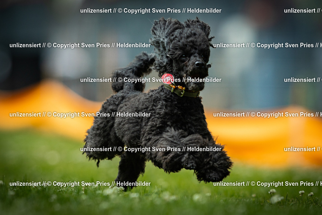 Sven Pries | 2025-05-29 - Pudelrennen KA-Durlach - Realisiert mit Pictrs.com