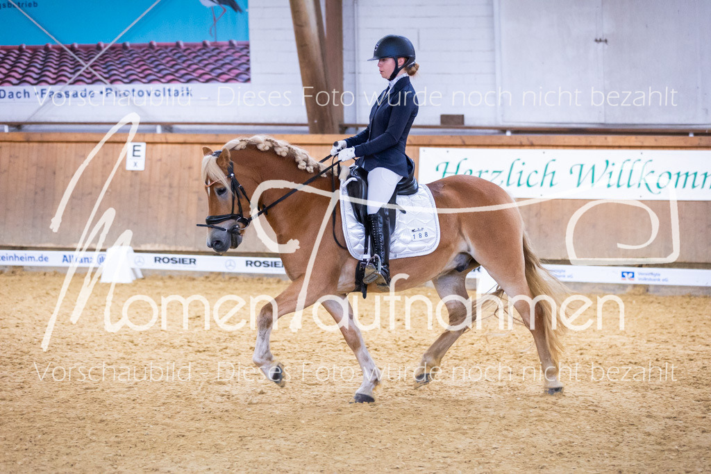 Sth-A-Dre-2St-025 | MomenTaufnahmen Pferdesportfotos
