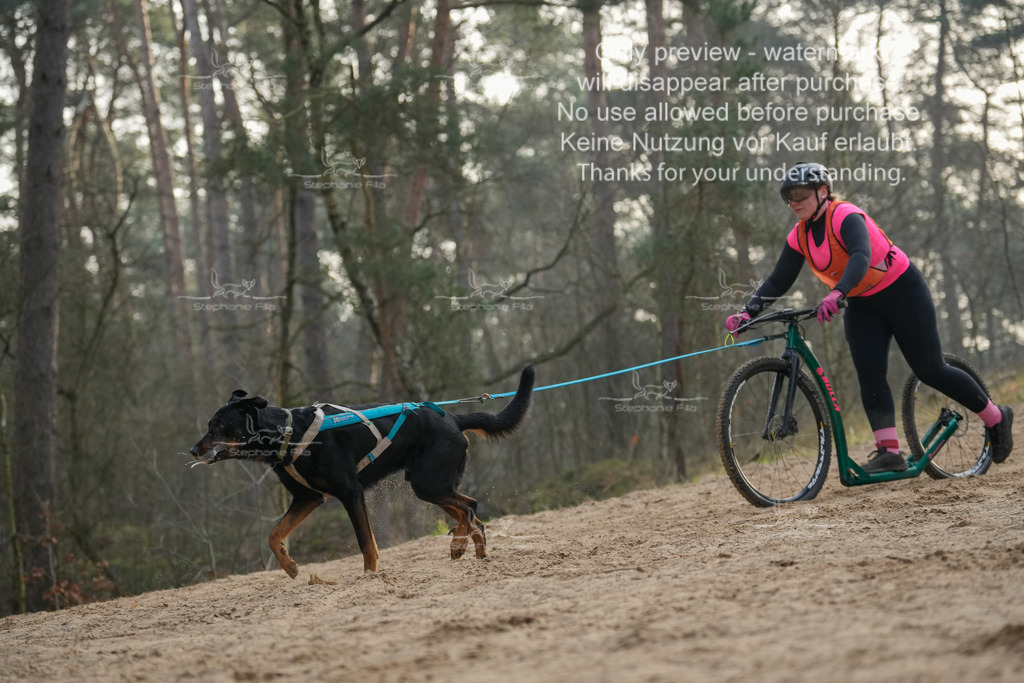 Scooter1-203 | stephaniefillaphotographie - Realisiert mit Pictrs.com