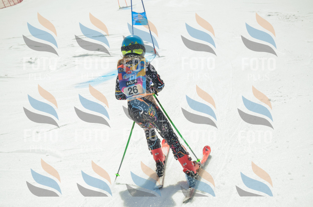 _ELE4820 | holidayphoto