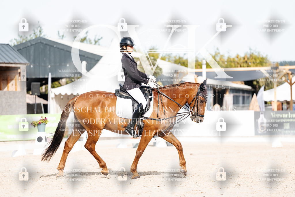CK905142 | Turnierfotografie Pferdefotografie Trier Rheinland-Pfalz Pferdesport Reitsport Tierfotografie Sportfotografie Pferdevideo Pferdevideografie Equestrianvideography equestrianphotography  - Realisiert mit Pictrs.com