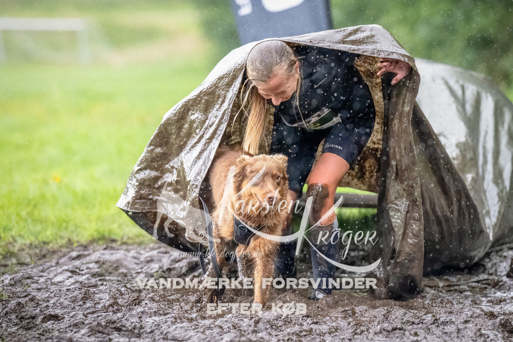 0932_ZZ91201-Bearbeitet | kk-dogfotos