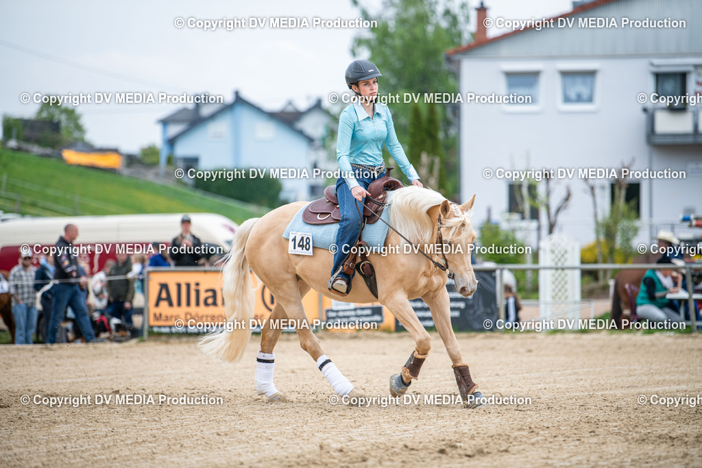 Heiligenwald Tag 2-1850 | dv-media-shop - Realisiert mit Pictrs.com