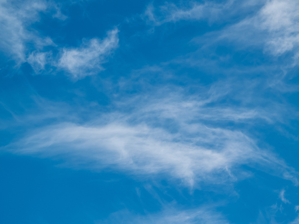 PSX_20230216_233342 | OLYMPUS DIGITAL CAMERA - Realisiert mit Pictrs.com