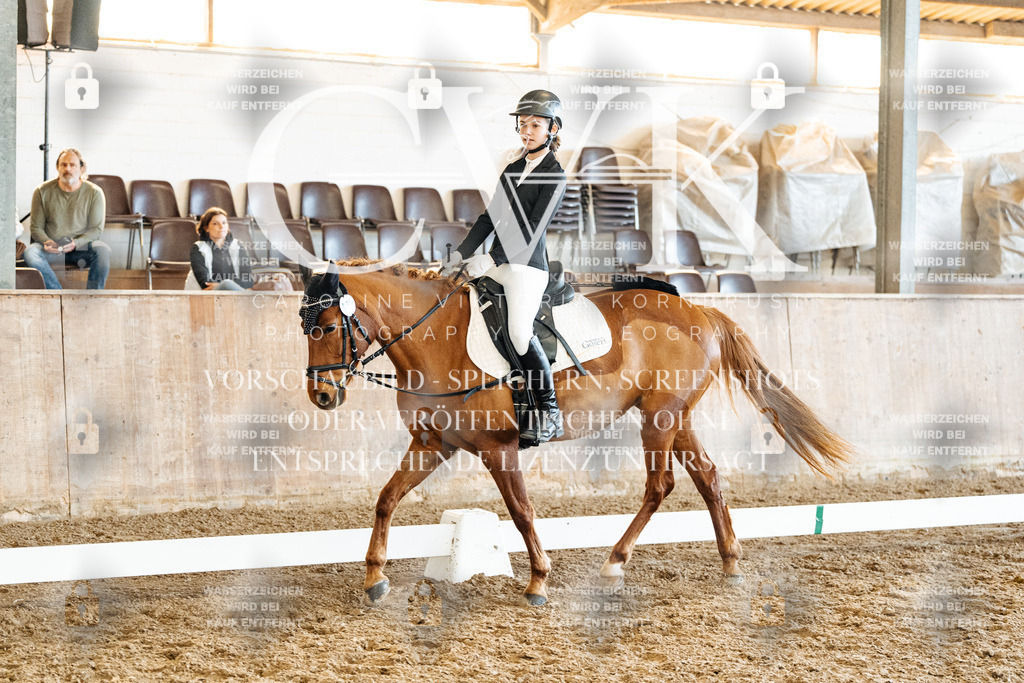 CK900518 | Turnierfotografie Pferdefotografie Trier Rheinland-Pfalz Pferdesport Reitsport Tierfotografie Sportfotografie Pferdevideo Pferdevideografie Equestrianvideography equestrianphotography  - Realized with Pictrs.com