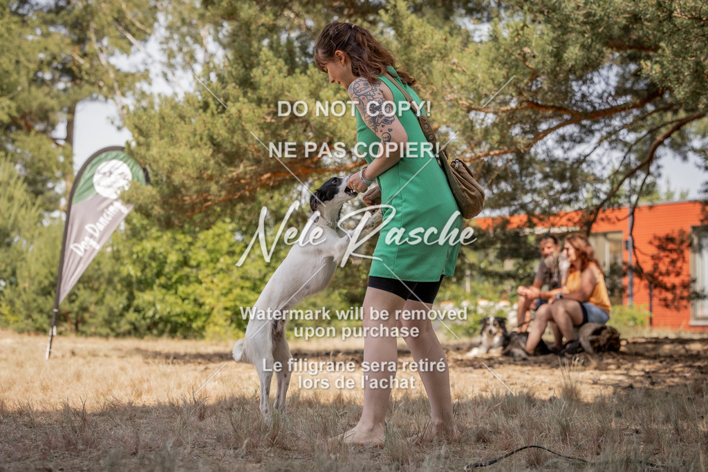 nelerasche_soDD2_419 | nelerasche