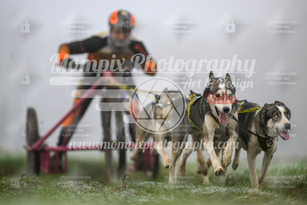 MompixPhotography_CDF2023_FFST_Di_Kart-15 | PayLife