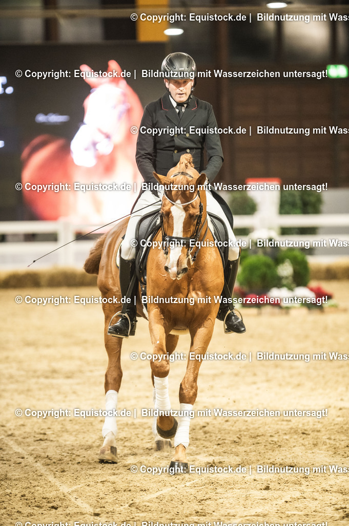 20240302_Hengstvorstellung_Marbach_TOMsPiC_0911 | equistock