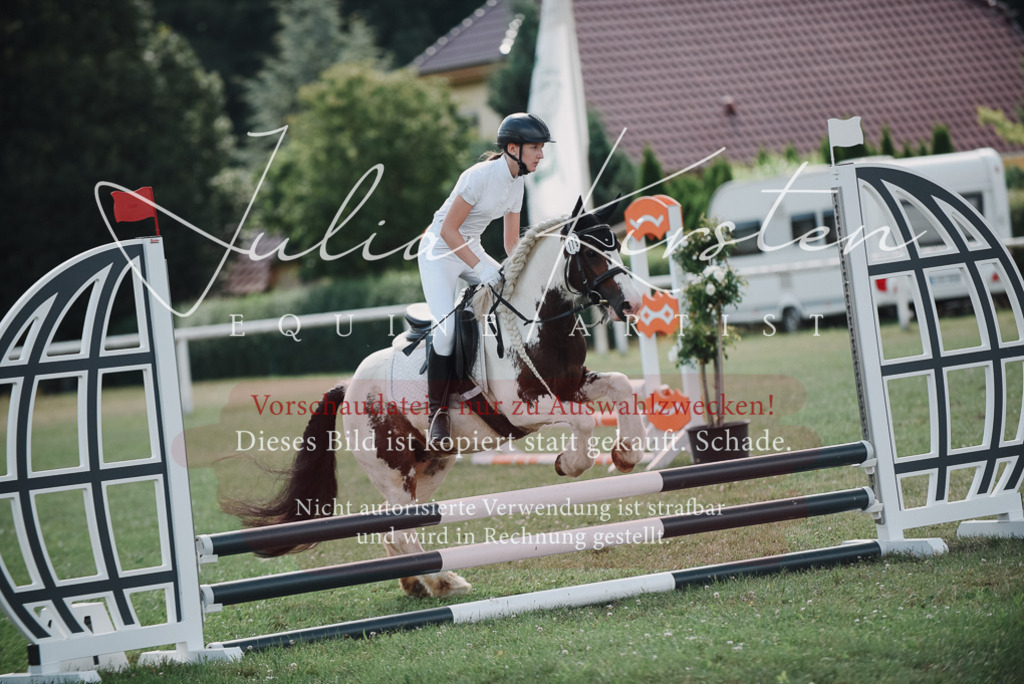 DSC_5641 | Pferde- und Turnierfotografie in Westsachsen. Pferdeportraits, Auftragszeichnungen und intuitive Kunst.