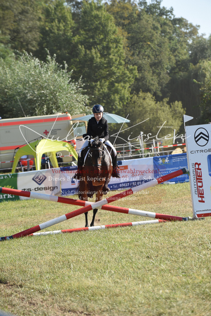 DSC_5616 | Pferde- und Turnierfotografie in Westsachsen. Pferdeportraits, Auftragszeichnungen und intuitive Kunst.