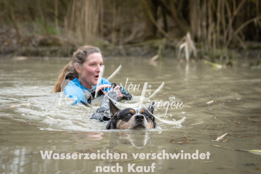 1518_ZZ92782 | kk-dogfotos