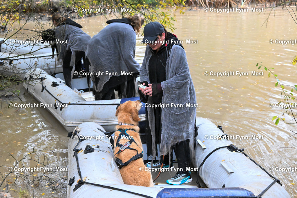 DSC_7156 | Hallo und herzlich Willkommen auf meiner Shop-Seite Fynn Most.

Ich wünsche Dir viel Spaß beim stöbern durch die Bilder, wenn Du Fragen hast oder Bilder vermisst, kannst du mir gerne eine Nachricht schreiben. - Realisiert mit Pictrs.com